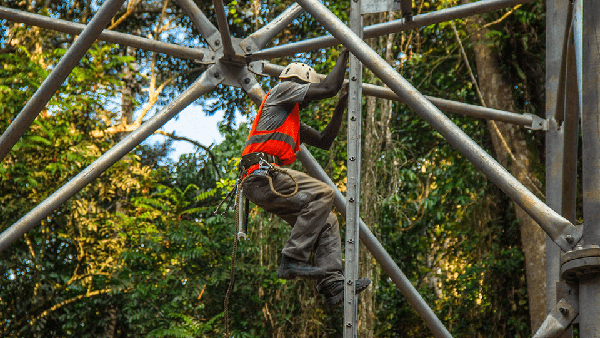Trabajador escalando una estructura metálica frente a un bosque