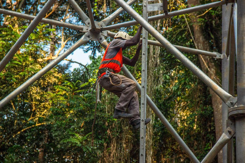 Trabajador escalando una estructura metálica dentro de un bosque