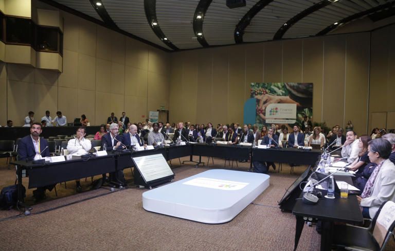 Panel sobre infraestructura sostenible y bancos de desarrollo en Finance in Common