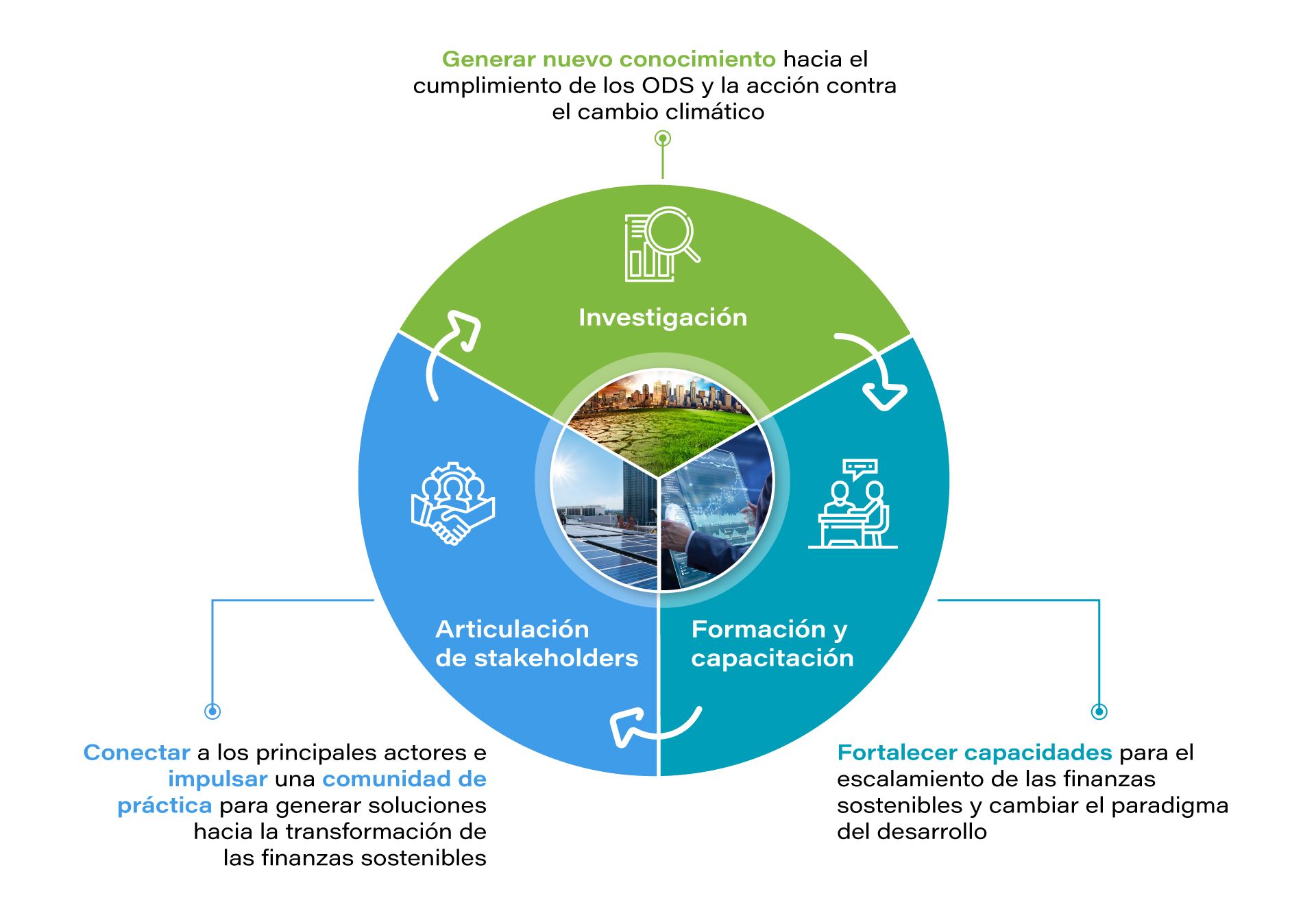 Diagrama circular que muestra la interrelación de los servicios del CFS.